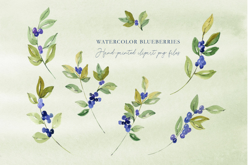 forest-blueberries-watercolor-set