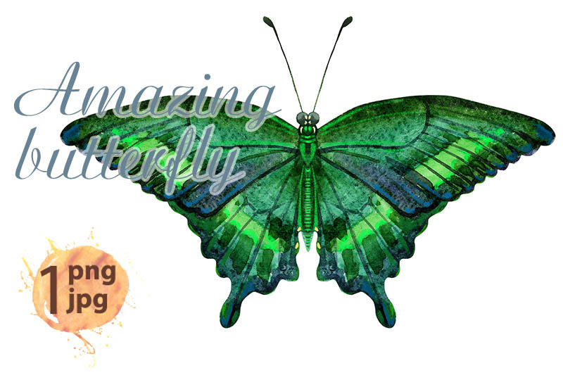 watercolor-green-butterfly