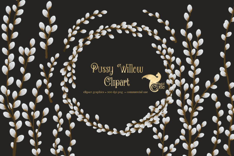 pussy-willow-clipart