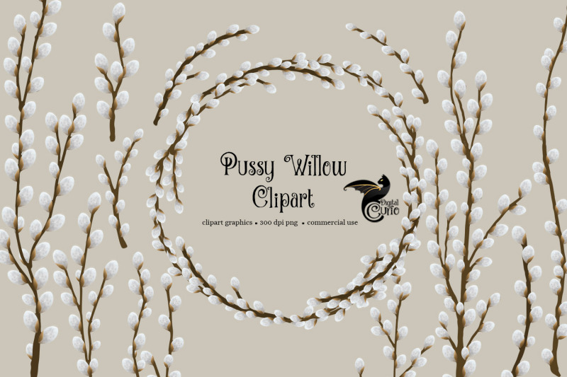 pussy-willow-clipart