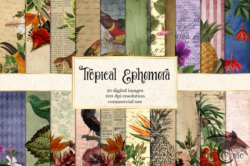 tropical-ephemera-digital-paper