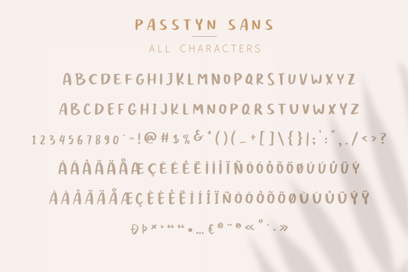 passtyn-handwritten-font-duo