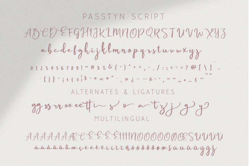 Passtyn Handwritten Font Duo By Craft Supply Co Thehungryjpeg Com