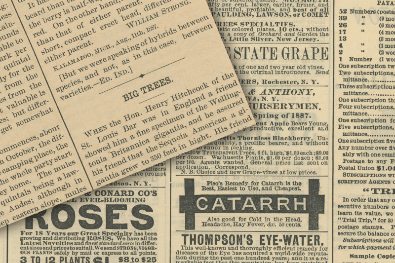 vintage-newsprint-textures