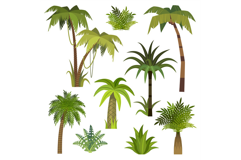 cartoon-palm-tree-jungle-palm-trees-with-green-leaves-exotic-hawaii