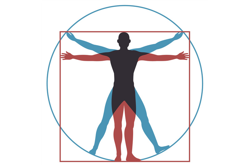 vitruvian-man-leonardo-da-vinci-human-body-perfect-anatomy-proportion