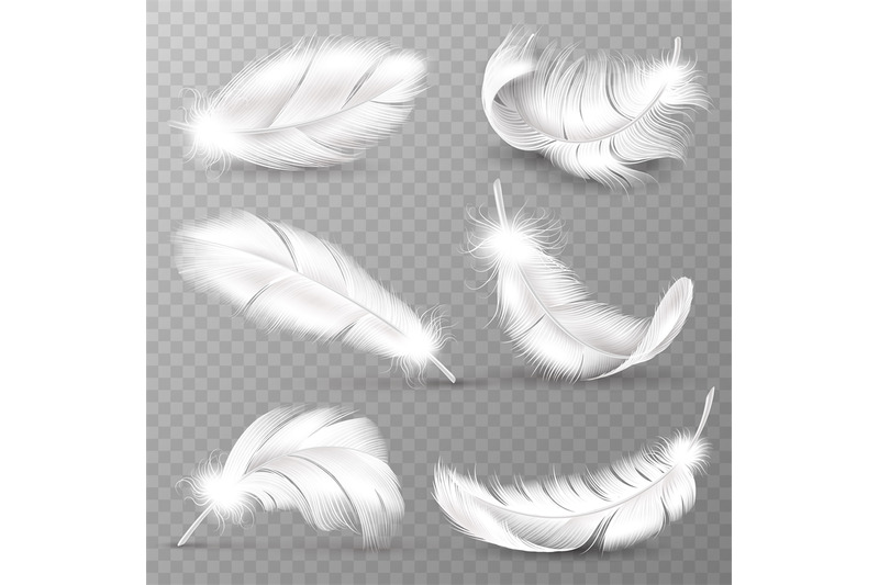realistic-white-feathers-birds-plumage-falling-fluffy-twirled-feathe