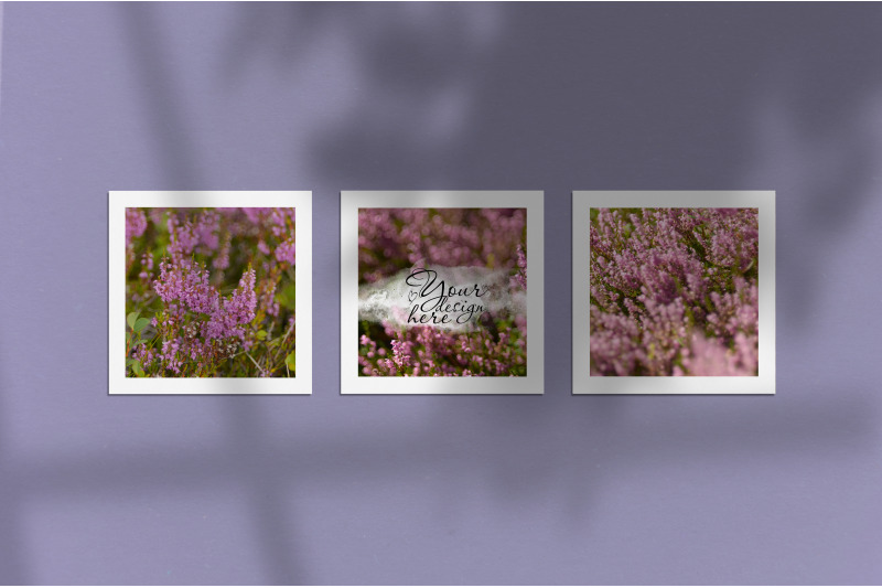 mockup-of-three-posters-on-a-purple-wall-with-window-and-tree-shadows