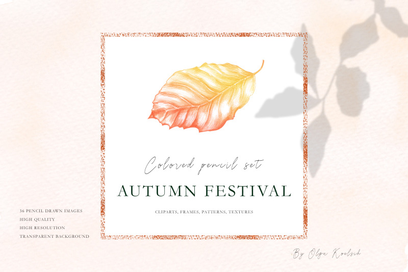 hand-drawn-set-with-autumn-leaves
