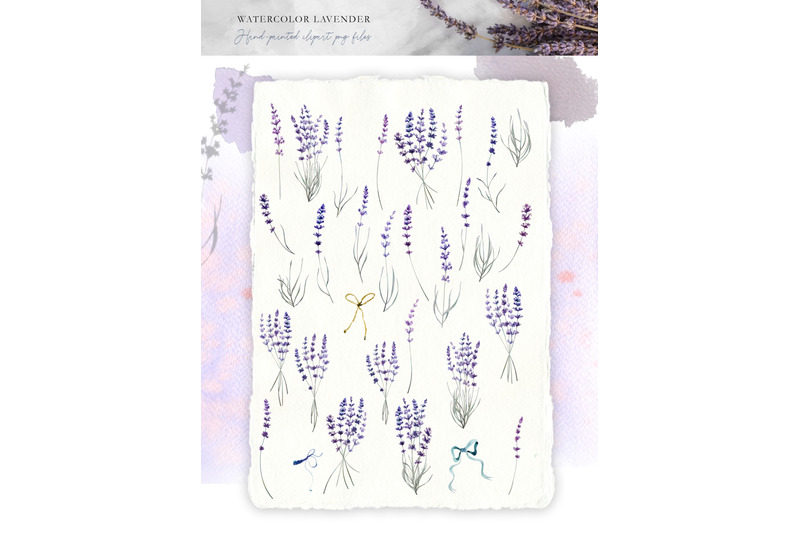 watercolor-provence-lavender-set