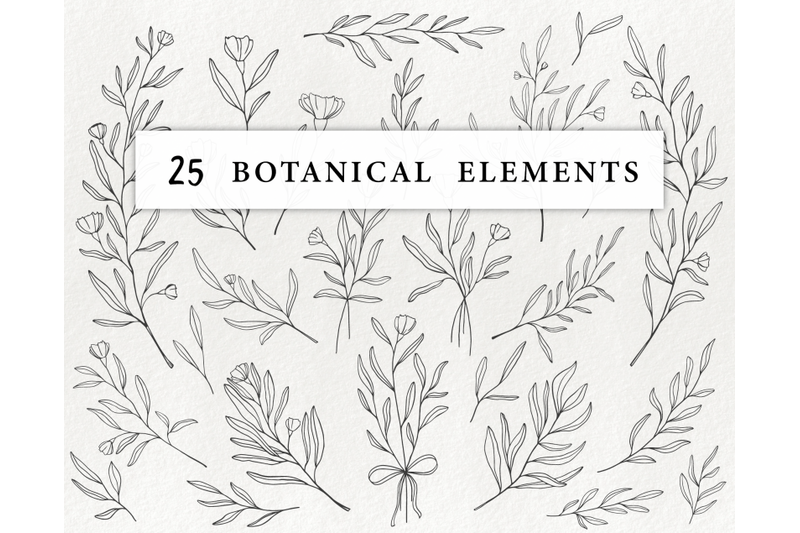 modern-floral-illustrations-doodle-leaves-clipart-floral-elements