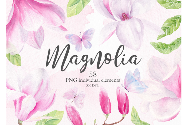 magnolia-floral-watercolor-clipart
