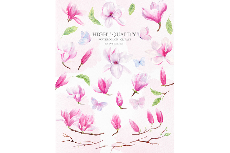 magnolia-floral-watercolor-clipart