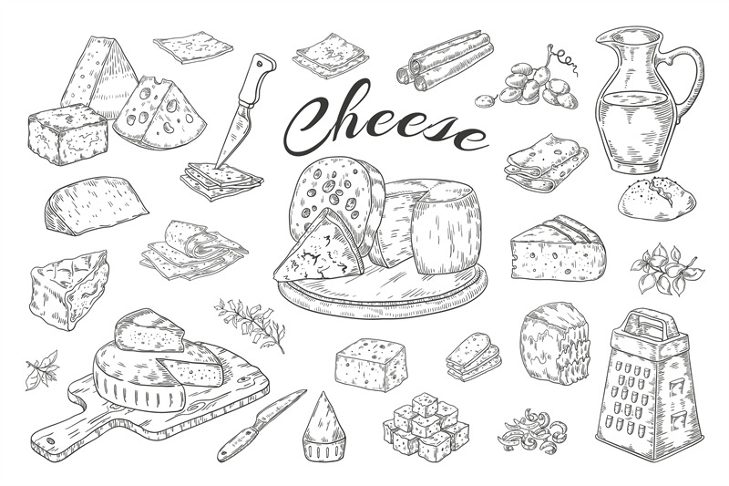 cheese-sketch-hand-drawn-milk-products-gourmet-food-slices-cheddar