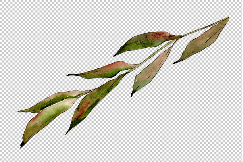 willow-branches-watercolor-png