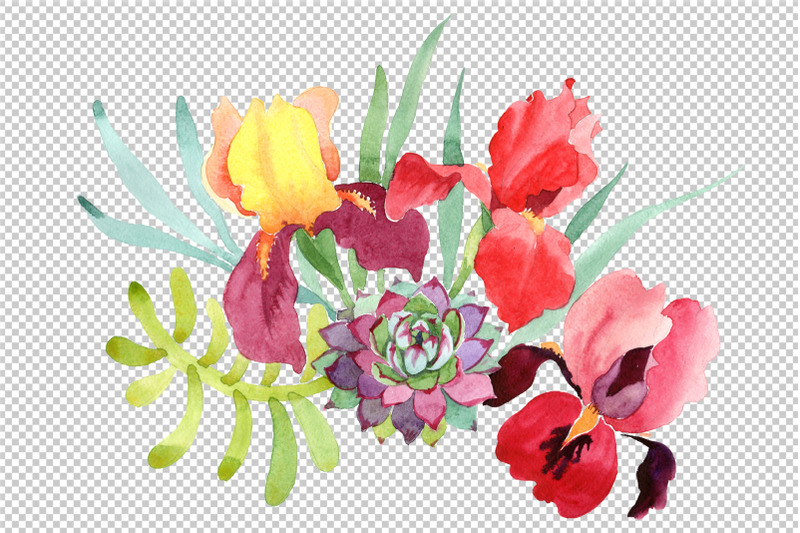 bouquet-with-red-irises-watercolor-png