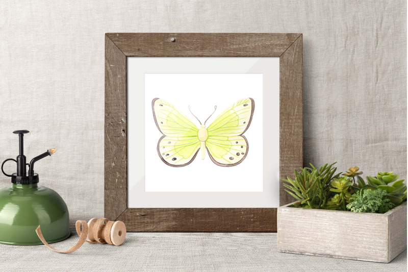 watercolor-butterflies-set