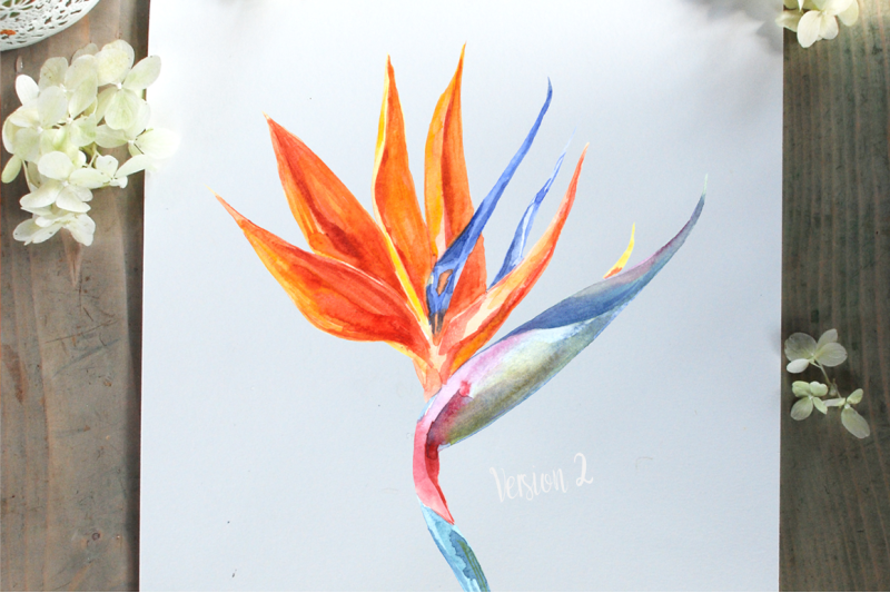 watercolor-tropical-leaves-clip-art-set