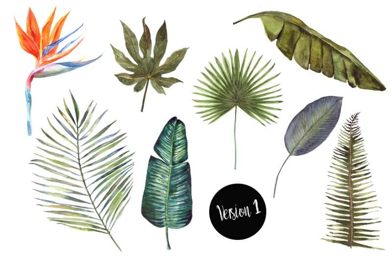 watercolor-tropical-leaves-clip-art-set