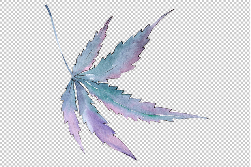 cannabis-plant-watercolor-png