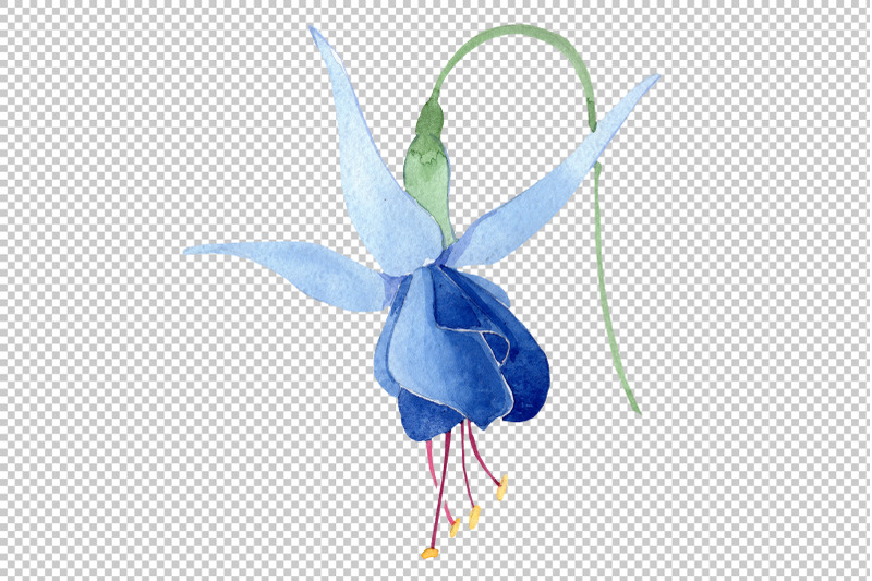 fuchsia-blue-watercolor-png