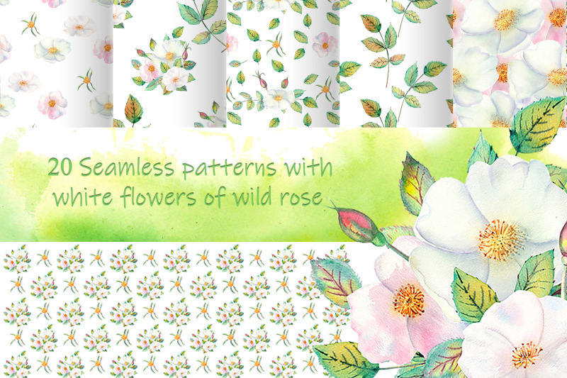 20-seamless-patterns-with-white-flowers-of-wild-rose