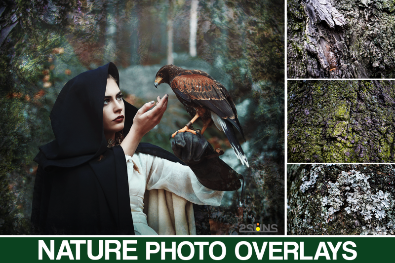 fern-overlay-halloween-overlay-tree-overlay-photoshop-wood-backdrop