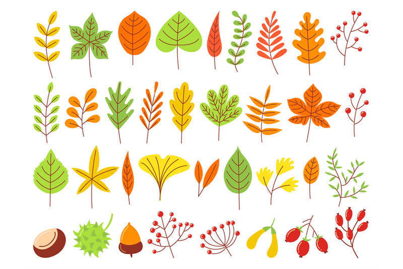 colorful-autumn-leaves-autumnal-yellow-leaf-forest-nature-orange-lea