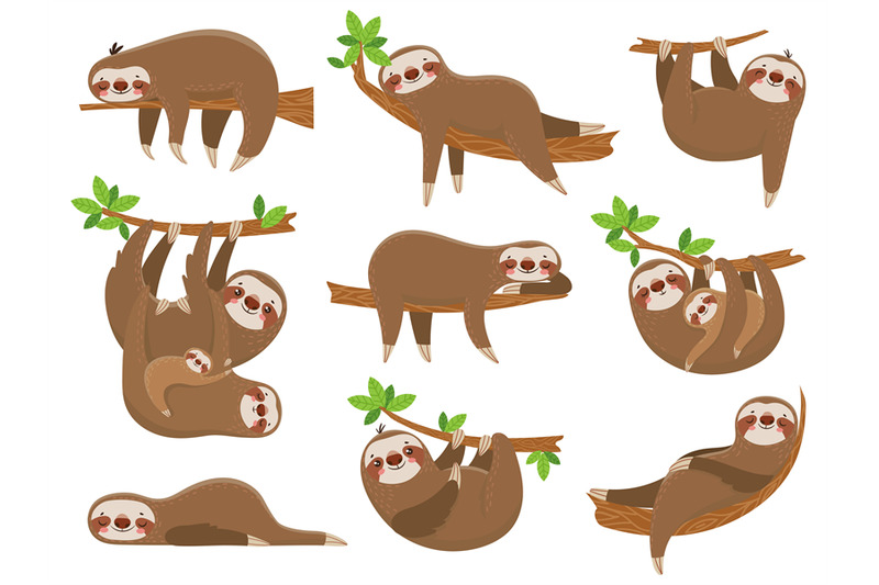 cartoon-sloths-family-adorable-sloth-animal-at-jungle-rainforest-fun