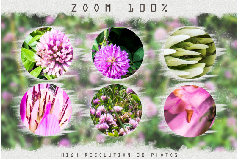 digital-flower-backdrop-flower-overlay-photoshop-overlay-field