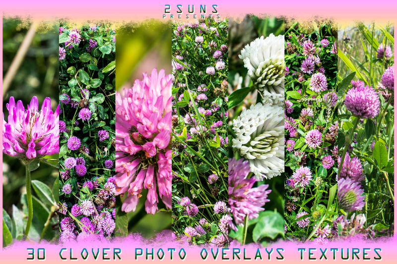 digital-flower-backdrop-flower-overlay-photoshop-overlay-field