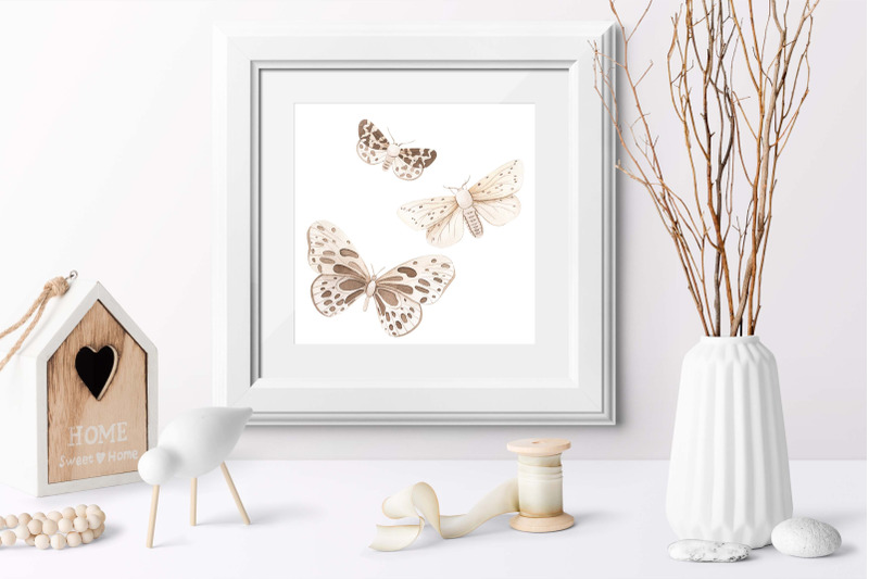 watercolor-monochrome-butterfly-set