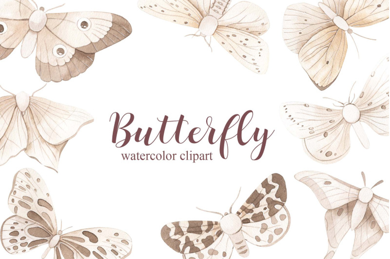watercolor-monochrome-butterfly-set