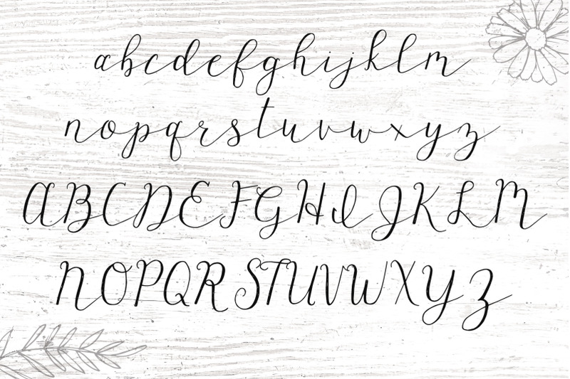 wagonwheel-delicate-handwritten-script