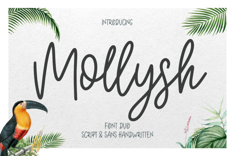 mollysh-calligraphy-font