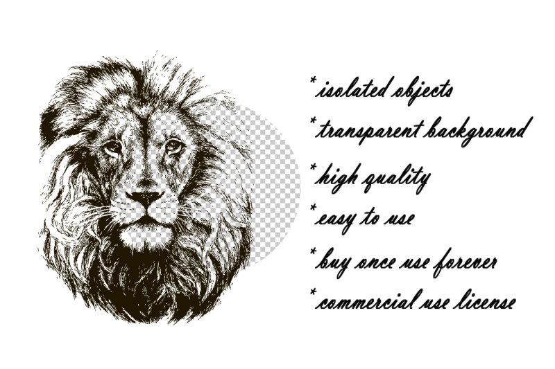 lion-head-hand-drawn-vector