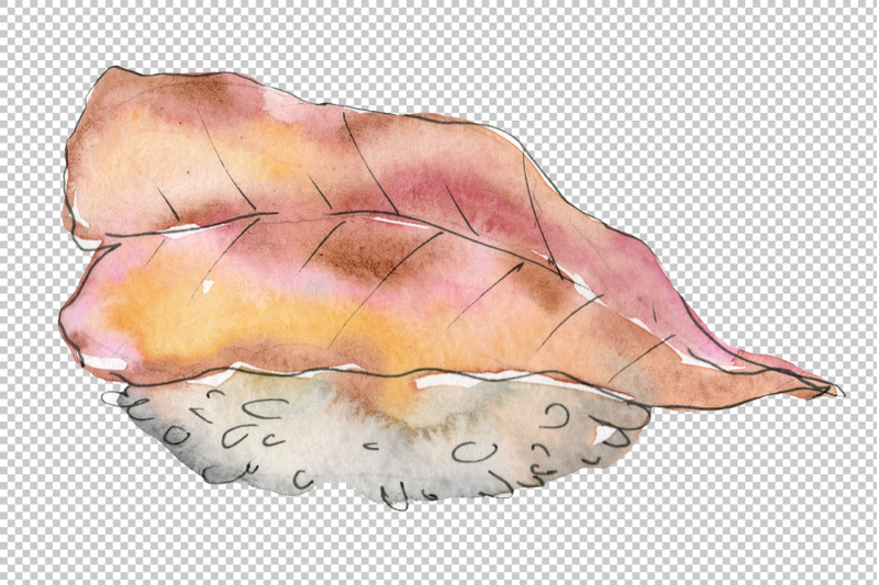 sushi-set-watercolor-png