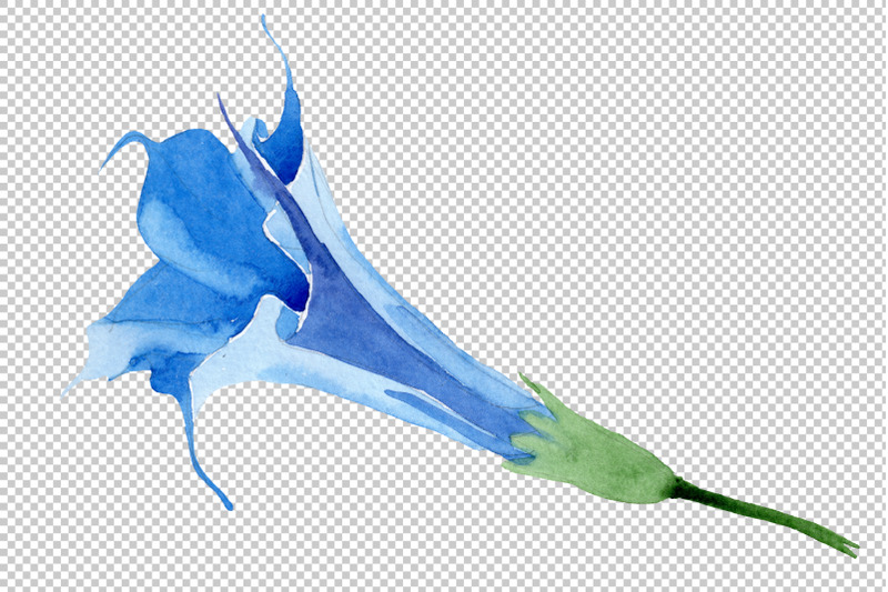 brugmansia-soft-blue-watercolor-png