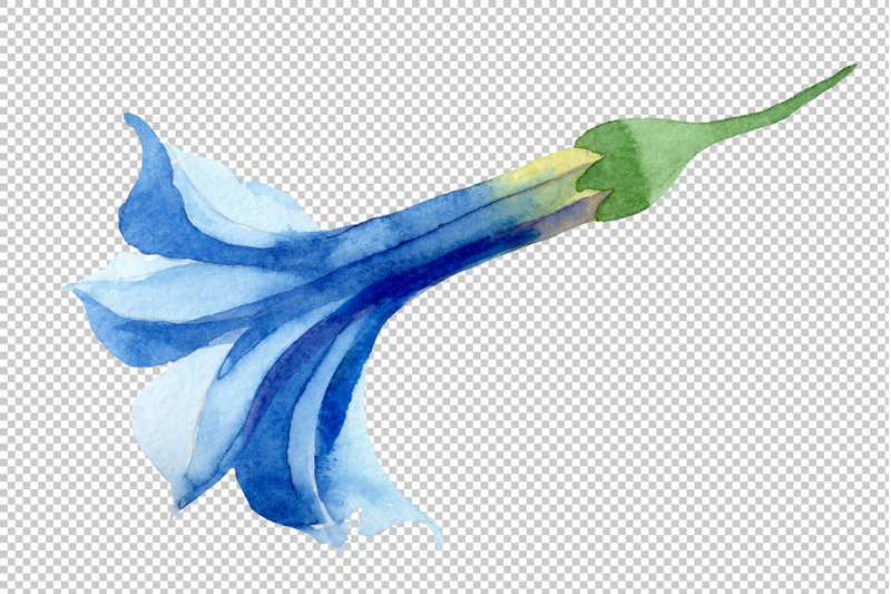 brugmansia-soft-blue-watercolor-png