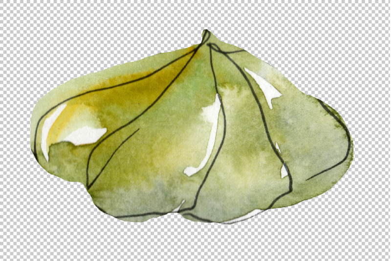 sushi-set-felix-watercolor-png