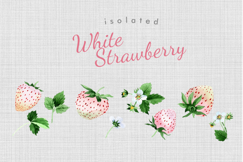 white-strawberry-watercolor-clipart-digital-art-fruit-food-hand-pa
