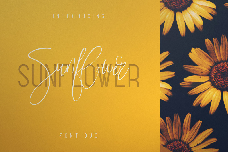 sunflower-font-duo