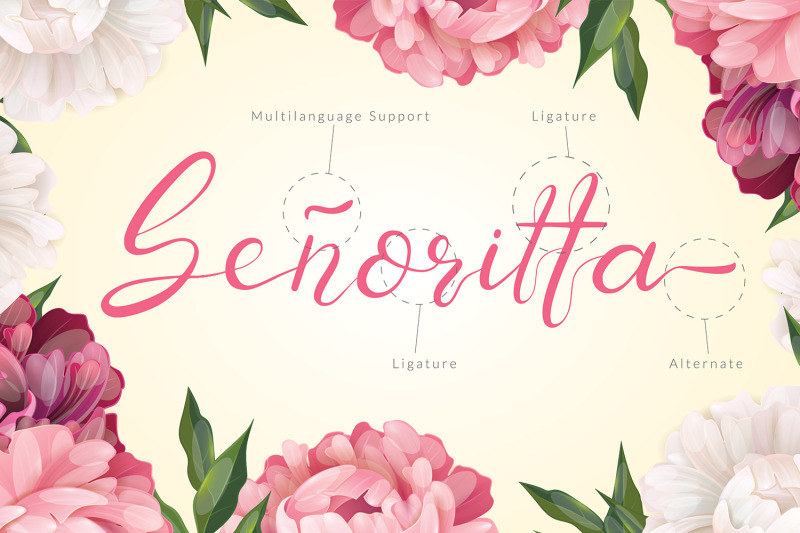 senoritta-beautiful-script-font