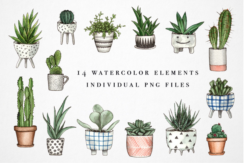 house-plants-in-pots-watercolor-set
