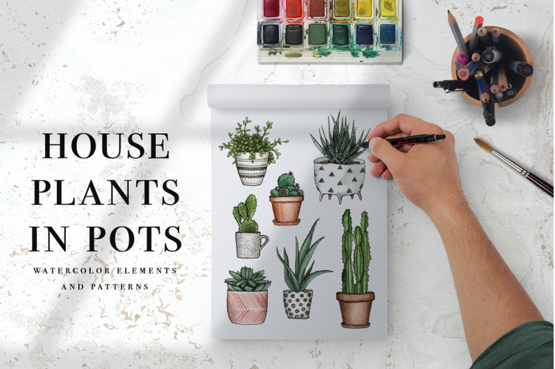 house-plants-in-pots-watercolor-set