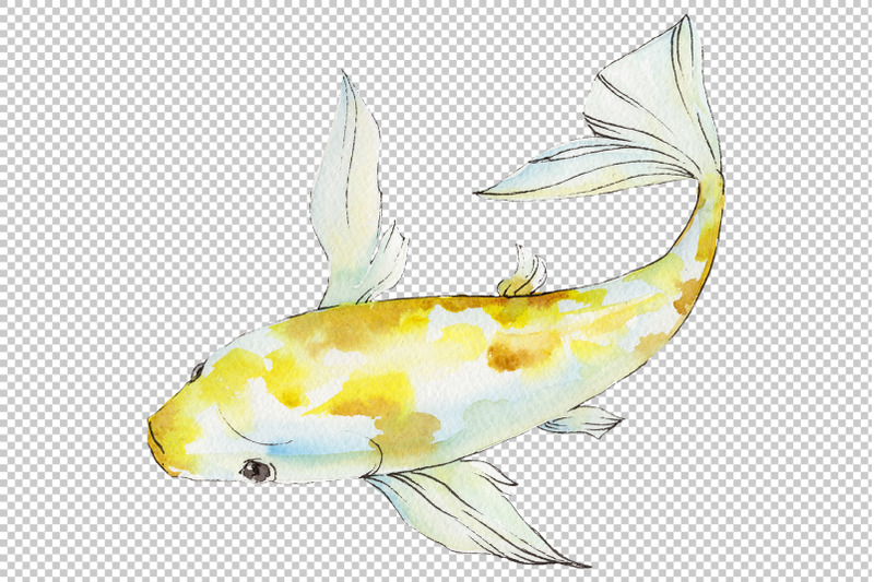 magic-gold-fish-watercolor-clipart-watercolor-set-hand-painted-fish