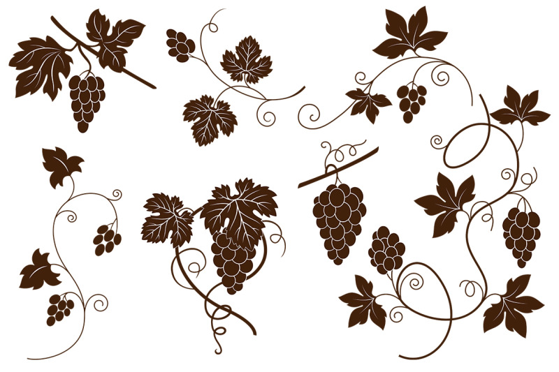 decorative-vine-branches