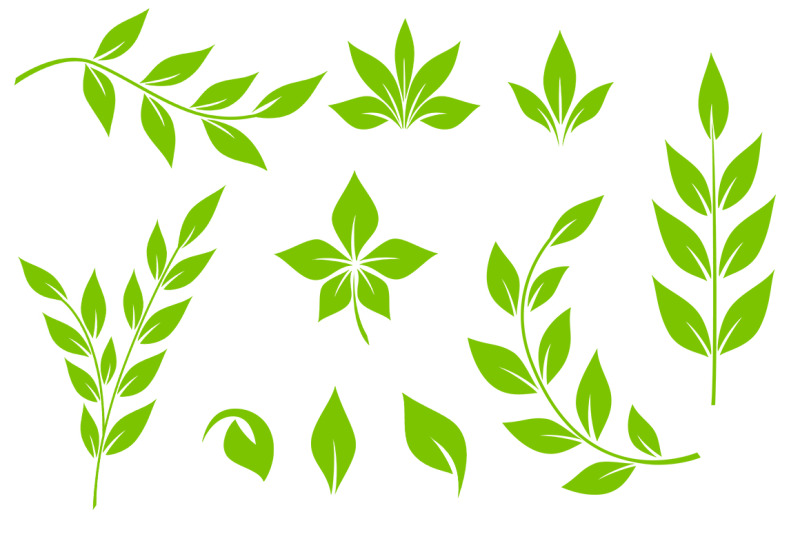 decorative-green-leaves