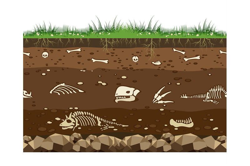 soil-with-dinosaur-bones