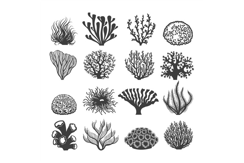 black-aquatic-corals-set